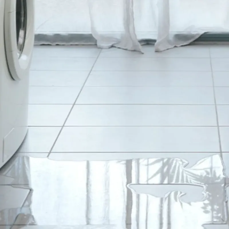 Appliance Leak Cleanup in Baychester, NY